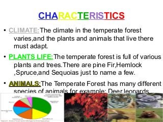 CHARACTERISTICS
●
CLIMATE:The climate in the temperate forest
varies,and the plants and animals that live there
must adapt.
●
PLANTS LIFE:The temperate forest is full of various
plants and trees.There are pine Fir,Hemlock
,Spruce,and Sequoias just to name a few.
●
ANIMALS:ANIMALS:The Temperate Forest has many different
species of animals for example: Deer,leopards...
 