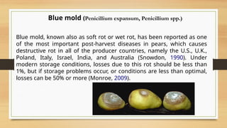 Optimal Rot Plant Disease of Temperate Fruit With Suitable Research Evidence.pptx