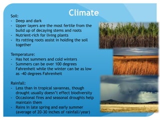 ClimateSoil:
- Deep and dark
- Upper layers are the most fertile from the
build up of decaying stems and roots
- Nutrient-rich for living plants
- Its rotting roots assist in holding the soil
together
Temperature:
- Has hot summers and cold winters
- Summers can be over 100 degrees
Fahrenheit while the winter can be as low
as -40 degrees Fahrenheit
Rainfall:
- Less than in tropical savannas, though
drought usually doesn’t effect biodiversity
- Occasional fires and seasonal droughts help
maintain them
- Rains in late spring and early summer
(average of 20-30 inches of rainfall/year)
 