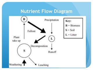 Nutrient Flow Diagram
 
