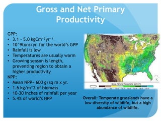 Gross and Net Primary
Productivity
GPP:
• 3.1 - 5.0 kgCm⁻²yr⁻¹
• 10^9tons/yr. for the world’s GPP
• Rainfall is low
• Temperatures are usually warm
• Growing season is length,
preventing region to obtain a
higher productivity
NPP:
• Mean NPP= 600 g/sq m x yr.
• 1.6 kg/m^2 of biomass
• 10-30 inches of rainfall per year
• 5.4% of world’s NPP Overall: Temperate grasslands have a
low diversity of wildlife, but a high
abundance of wildlife.
 