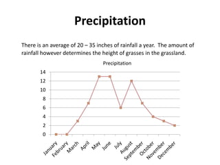 PrecipitationThere is an average of 20 – 35 inches of rainfall a year.  The amount of rainfall however determines the height of grasses in the grassland.Precipitation