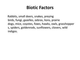Biotic FactorsRabbits, small deers, snakes, preying birds, fungi, gazelles, zebras, lions, prairie dogs, mice, coyotes, foxes, hawks, owls, grasshoppers, spiders, goldenrods, sunflowers, clovers, wild indigos. 