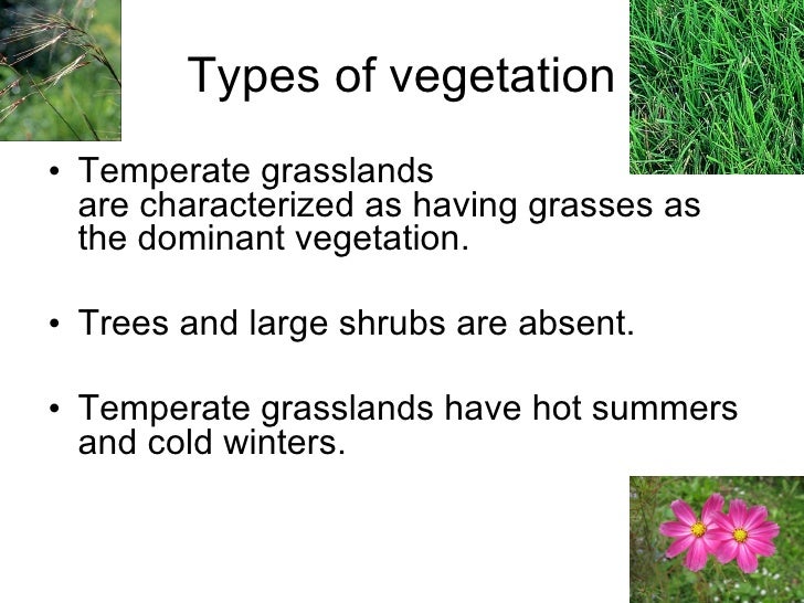 Temperate Grassland Makayla