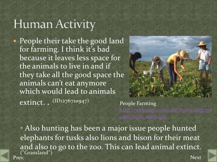 Temperate Grasslands