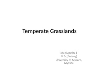 Temperate Grasslands
Manjunatha S
M.Sc(Botany)
University of Mysore,
Mysuru
 