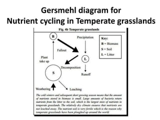 Gersmehl diagram for
Nutrient cycling in Temperate grasslands
 