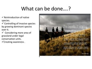 What can be done….?
 Reintroduction of native
species.
 Controlling of invasive species
by growing dominant species
over it.
 Considering more area of
grassland under legal
conservation units.
Creating awareness .
 