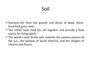 Soil
 Nutrient-rich from the growth and decay of deep, many-
branched grass roots.
 The rotted roots hold the soil together and provide a food
source for living plants.
 The world's most fertile soils underlie the eastern prairies of
the U.S., the pampas of South America, and the steppes of
Ukraine and Russia.
 