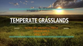 TEMPERATE GRASSLANDS
DONE BY:ANAMIKA PRIYA
GRADE:VIII.A
ROLL NO:5
 