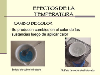 EFECTOS DE LA TEMPERATURA CAMBIO DE COLOR Sulfato de cobre hidratado Sulfato de cobre deshidratado Se producen cambios en el color de las sustancias luego de aplicar calor