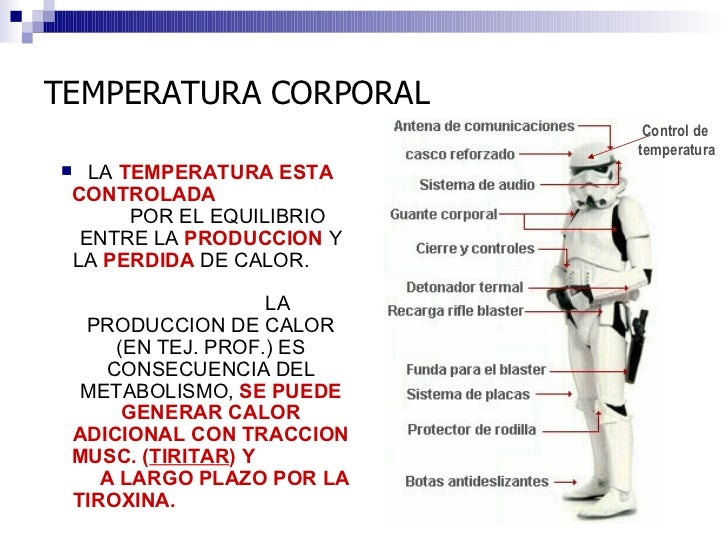 Modalidades que debo evitar comer para bajar de peso rapido que debo evitar comer para bajar de peso rapido