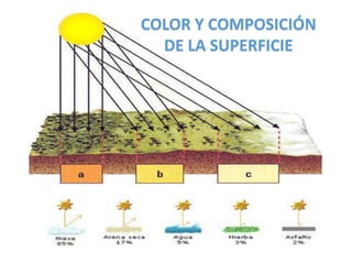 COLOR Y COMPOSICIÓN
DE LA SUPERFICIE
 