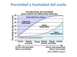 Porosidad y humedad del suelo
 