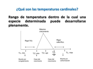 ¿Qué son las temperaturas cardinales?
Rango de temperatura dentro de la cual una
especie determinada puede desarrollarse
plenamente.
l l ll l
Rigor frío Rigor
calorífico
T.L. min T.L. maxT.C. min
T.C.
max
T.C. opt
Muerte por
congelamiento
Cese del
crecimiento
Cese del
crecimiento
Muerte por
carbonización
Máximo
crecimiento
 
