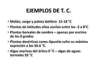 EJEMPLOS DE T. C.
• Melón, sorgo y palma datilera 15-18 °C
• Plantas de latitudes altas oscilan entre los -2 a 8°C
• Plantas boreales de sombra – apenas por encima
de los 0 grados
• Plantas desérticas como Opuntia sufre su máxima
expresión a los 56.6 °C.
• Algas marinas del ártico 0 °C – algas de aguas
termales 93 °C
 