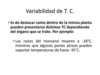 Variabilidad de T. C.
• Es de destacar como dentro de la misma planta
pueden presentarse distintas TC dependiendo
del órgano que se trate. Por ejemplo:
• Las raíces del manzano mueren a -18°C,
mientras que algunas partes aéreas pueden
soportar temperaturas de hasta -35°C.
 