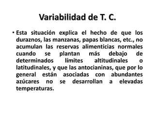 Variabilidad de T. C.
• Esta situación explica el hecho de que los
duraznos, las manzanas, papas blancas, etc., no
acumulan las reservas alimenticias normales
cuando se plantan más debajo de
determinados límites altitudinales o
latitudinales, y que las antocianinas, que por lo
general están asociadas con abundantes
azúcares no se desarrollan a elevadas
temperaturas.
 