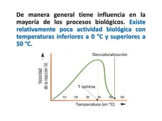 De manera general tiene influencia en la
mayoría de los procesos biológicos. Existe
relativamente poca actividad biológica con
temperaturas inferiores a 0 °C y superiores a
50 °C.
 