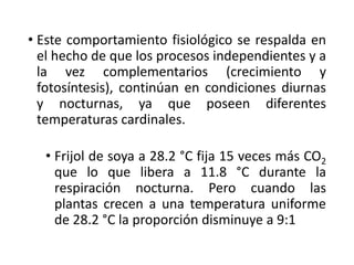 • Este comportamiento fisiológico se respalda en
el hecho de que los procesos independientes y a
la vez complementarios (crecimiento y
fotosíntesis), continúan en condiciones diurnas
y nocturnas, ya que poseen diferentes
temperaturas cardinales.
• Frijol de soya a 28.2 °C fija 15 veces más CO2
que lo que libera a 11.8 °C durante la
respiración nocturna. Pero cuando las
plantas crecen a una temperatura uniforme
de 28.2 °C la proporción disminuye a 9:1
 