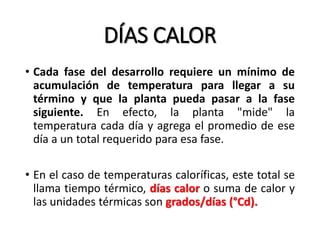 DÍAS CALOR
• Cada fase del desarrollo requiere un mínimo de
acumulación de temperatura para llegar a su
término y que la planta pueda pasar a la fase
siguiente. En efecto, la planta "mide" la
temperatura cada día y agrega el promedio de ese
día a un total requerido para esa fase.
• En el caso de temperaturas caloríficas, este total se
llama tiempo térmico, días calor o suma de calor y
las unidades térmicas son grados/días (°Cd).
 
