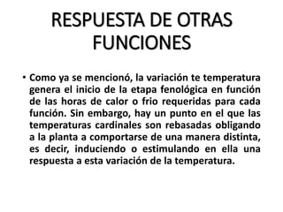 RESPUESTA DE OTRAS
FUNCIONES
• Como ya se mencionó, la variación te temperatura
genera el inicio de la etapa fenológica en función
de las horas de calor o frio requeridas para cada
función. Sin embargo, hay un punto en el que las
temperaturas cardinales son rebasadas obligando
a la planta a comportarse de una manera distinta,
es decir, induciendo o estimulando en ella una
respuesta a esta variación de la temperatura.
 
