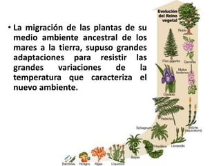 • La migración de las plantas de su
medio ambiente ancestral de los
mares a la tierra, supuso grandes
adaptaciones para resistir las
grandes variaciones de la
temperatura que caracteriza el
nuevo ambiente.
 