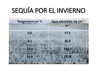 SEQUÍA POR EL INVIERNO
Temperatura en °C Agua absorbida mg cm-1
hr-1
0.0 57.2
8.2 96.6
24.0 132.2
34.8 171.8
 