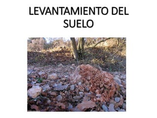 LEVANTAMIENTO DEL
SUELO
 