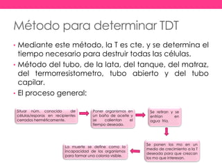 Método para determinar TDT
• Mediante este método, la T es cte. y se determina el
tiempo necesario para destruir todas las células.
• Método del tubo, de la lata, del tanque, del matraz,
del termorresistometro, tubo abierto y del tubo
capilar.
• El proceso general:
Situar núm. conocido de
células/esporas en recipientes
cerrados herméticamente.
Poner organismos en
un baño de aceite y
se calientan el
tiempo deseado.
Se retiran y se
enfrían en
agua fría.
Se ponen los mo en un
medio de crecimiento a la T
deseada para que crezcan
los mo que interesan.
La muerte se define como la
incapacidad de los organismos
para formar una colonia visible.
 