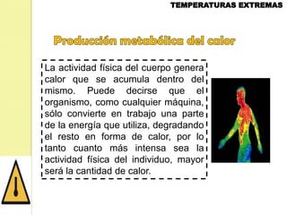 La actividad física del cuerpo genera
calor que se acumula dentro del
mismo. Puede decirse que el
organismo, como cualquier máquina,
sólo convierte en trabajo una parte
de la energía que utiliza, degradando
el resto en forma de calor, por lo
tanto cuanto más intensa sea la
actividad física del individuo, mayor
será la cantidad de calor.

 