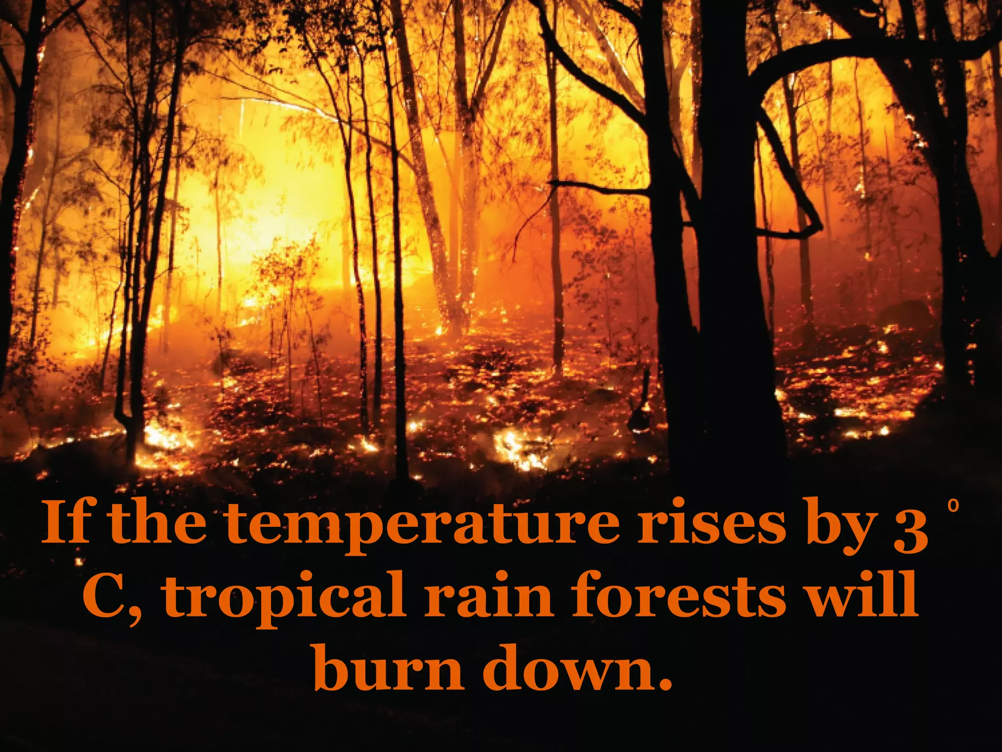 If the temperature rises by 3 ⁰
  C, tropical rain forests will
          burn down.
 