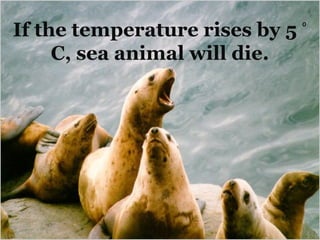 If the temperature rises by 5 ⁰
     C, sea animal will die.
 