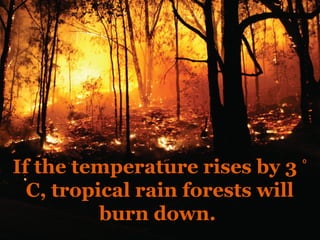 If the temperature rises by 3 ⁰
  C, tropical rain forests will
          burn down.
 