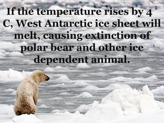 ⁰
If the temperature rises by 4
C, West Antarctic ice sheet will
  melt, causing extinction of
    polar bear and other ice
      dependent animal.
 