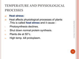 TEMPERATURE AND PHYSIOLOGICAL
PROCESSES
iii.
a) Heat stress:
 Heat affects physiological processes of plants
.This is called heat stress and it cause :
i. Photosynthesis declines.
ii. Shut down normal protein synthesis.
Plants die at 50°c.
iv. High temp. kill protoplasm.
10
Salma
Saeed
Lecturer
(Botany)
 