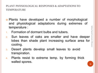 PLANT PHYSIOLOGICAL RESPONSES & ADAPTATIONS TO
TEMPERATURE
 Plants have developed a number of morphological
and physiological adaptations during extremes of
temperature :
1. Formation of dormant bulbs and tubers.
2. Sun leaves of oaks are smaller and have deeper
lobes than shade plant increasing surface area for
cooling.
3. Desert plants develop small leaves to avoid
transpiration.
4. Plants resist to extreme temp. by forming thick
walled spores.
15
Salma
Saeed
Lecturer
(Botany)
 