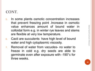 CONT.
5. In some plants osmotic concentration increases
that prevent freezing point .Increase in osmotic
value enhances amount of bound water in
colloidal form e.g. in winter rye leaves and stems
are flexible at very low temperature.
6. Cacti are succulents have high level of bound
water and high cytoplasmic viscosity.
7. Removal of water from vacuoles- no water to
freeze in cold e.g. dry seeds are able to
germinate even after exposure with -190°c for
three weeks.
16
Salma
Saeed
Lecturer
(Botany)
 