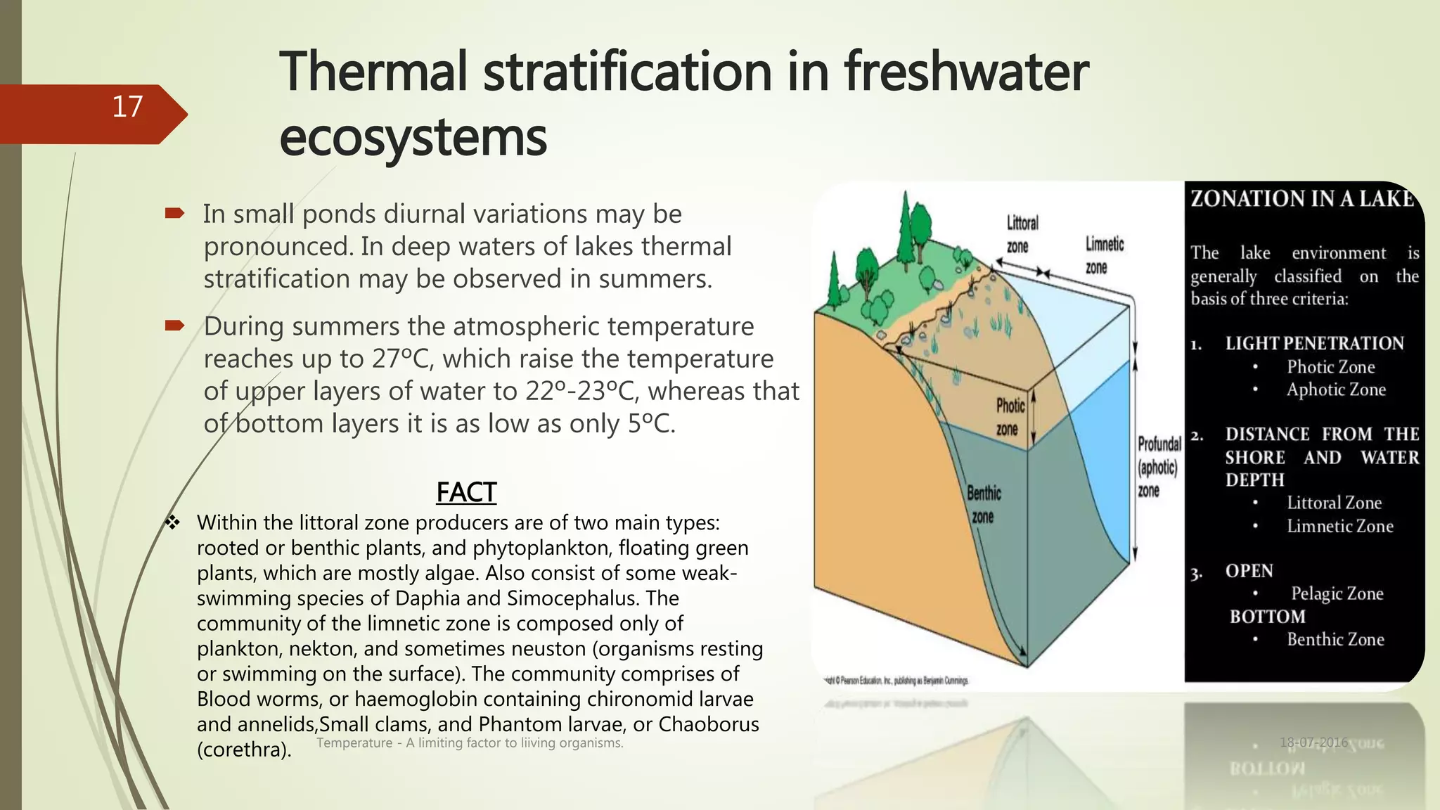 Thermal stratification in freshwater
ecosystems
 In small ponds diurnal variations may be
pronounced. In deep waters of lakes thermal
stratification may be observed in summers.
 During summers the atmospheric temperature
reaches up to 27ºC, which raise the temperature
of upper layers of water to 22º-23ºC, whereas that
of bottom layers it is as low as only 5ºC.
FACT
 Within the littoral zone producers are of two main types:
rooted or benthic plants, and phytoplankton, floating green
plants, which are mostly algae. Also consist of some weak-
swimming species of Daphia and Simocephalus. The
community of the limnetic zone is composed only of
plankton, nekton, and sometimes neuston (organisms resting
or swimming on the surface). The community comprises of
Blood worms, or haemoglobin containing chironomid larvae
and annelids,Small clams, and Phantom larvae, or Chaoborus
(corethra). 18-07-2016Temperature - A limiting factor to liiving organisms.
17
 