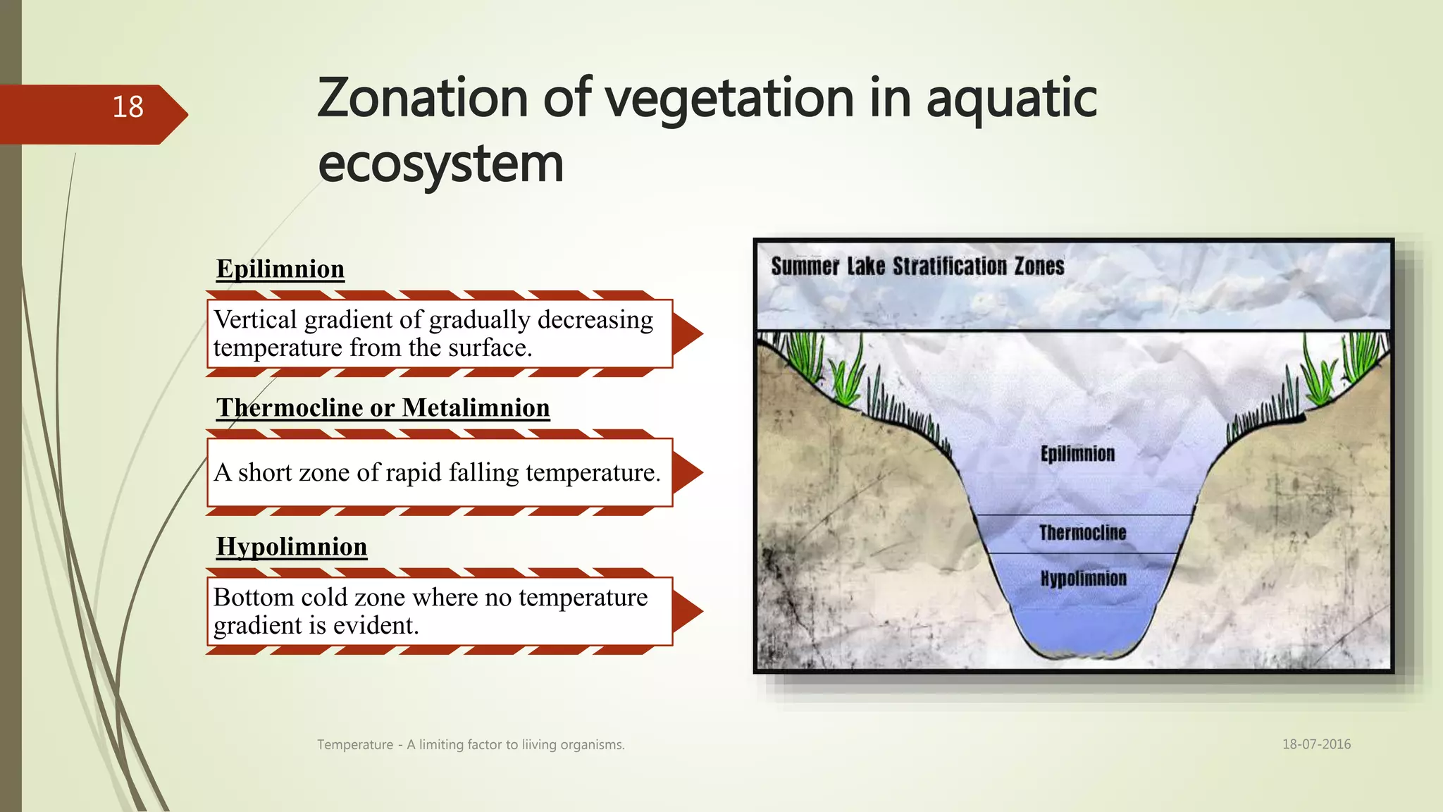 Zonation of vegetation in aquatic
ecosystem
Epilimnion
Vertical gradient of gradually decreasing
temperature from the surface.
Thermocline or Metalimnion
A short zone of rapid falling temperature.
Hypolimnion
Bottom cold zone where no temperature
gradient is evident.
18-07-2016Temperature - A limiting factor to liiving organisms.
18
 