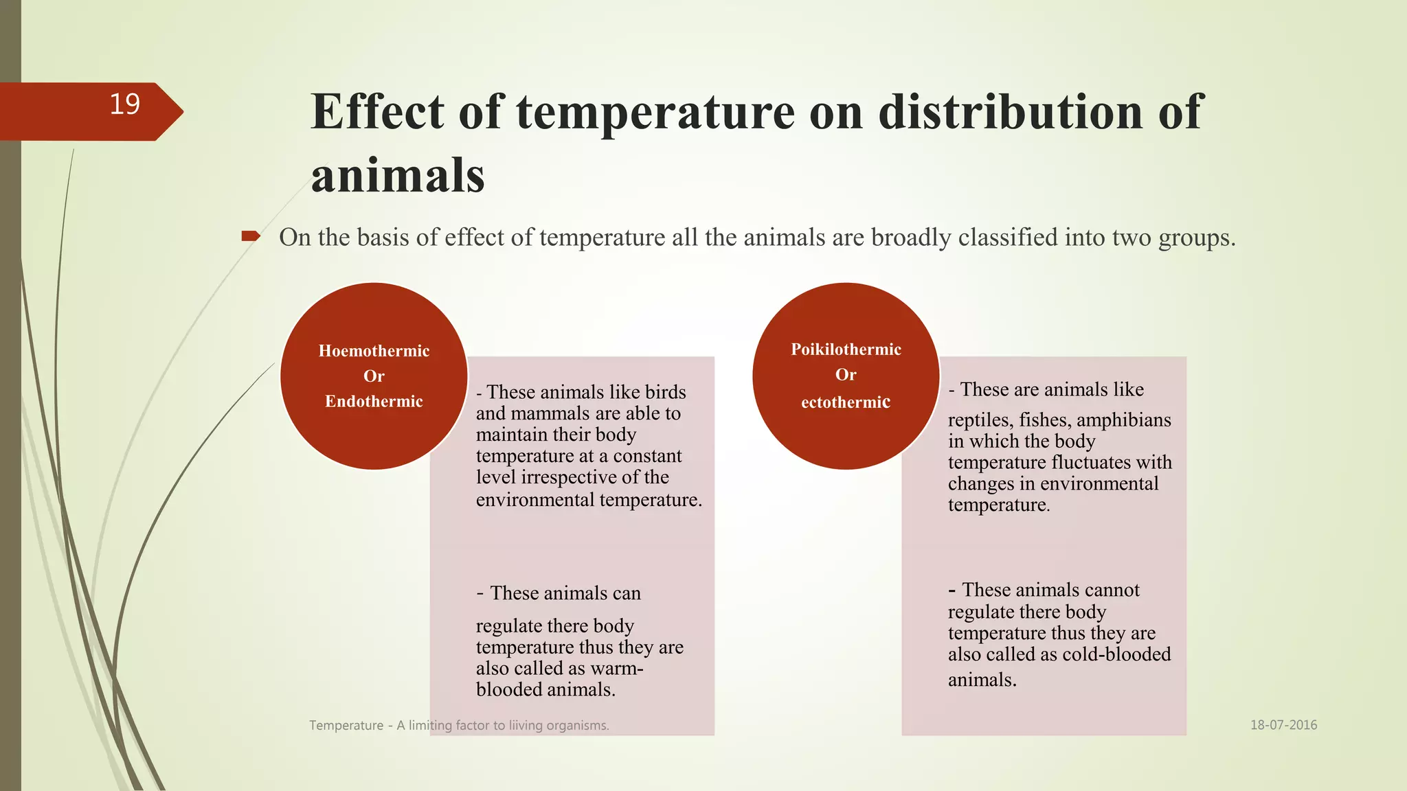 Effect of temperature on distribution of
animals
 On the basis of effect of temperature all the animals are broadly classified into two groups.
- These animals like birds
and mammals are able to
maintain their body
temperature at a constant
level irrespective of the
environmental temperature.
- These animals can
regulate there body
temperature thus they are
also called as warm-
blooded animals.
Hoemothermic
Or
Endothermic
- These are animals like
reptiles, fishes, amphibians
in which the body
temperature fluctuates with
changes in environmental
temperature.
- These animals cannot
regulate there body
temperature thus they are
also called as cold-blooded
animals.
Poikilothermic
Or
ectothermic
18-07-2016Temperature - A limiting factor to liiving organisms.
19
 