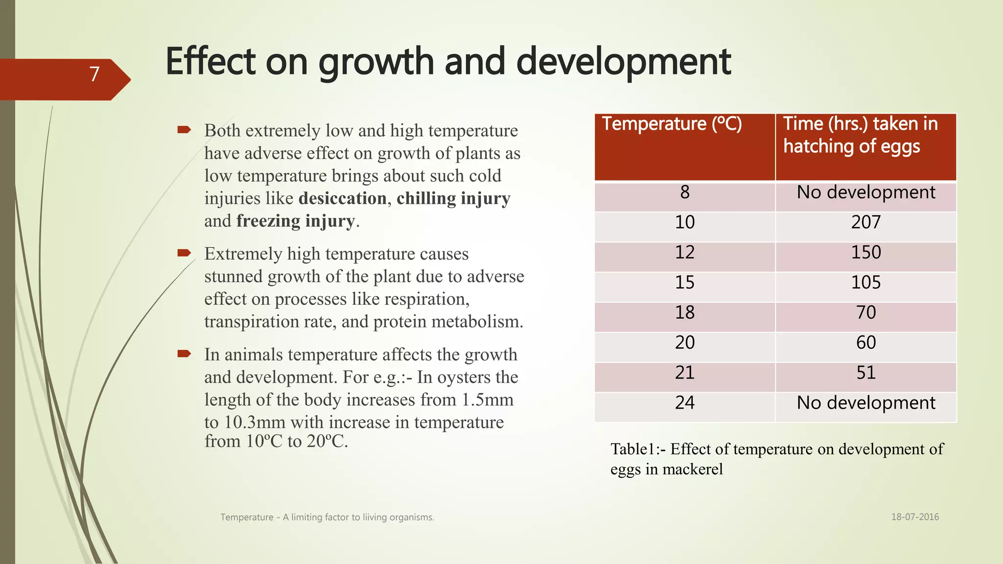 Effect on growth and development
 Both extremely low and high temperature
have adverse effect on growth of plants as
low temperature brings about such cold
injuries like desiccation, chilling injury
and freezing injury.
 Extremely high temperature causes
stunned growth of the plant due to adverse
effect on processes like respiration,
transpiration rate, and protein metabolism.
 In animals temperature affects the growth
and development. For e.g.:- In oysters the
length of the body increases from 1.5mm
to 10.3mm with increase in temperature
from 10ºC to 20ºC.
Temperature (ºC) Time (hrs.) taken in
hatching of eggs
8 No development
10 207
12 150
15 105
18 70
20 60
21 51
24 No development
Table1:- Effect of temperature on development of
eggs in mackerel
18-07-2016Temperature - A limiting factor to liiving organisms.
7
 