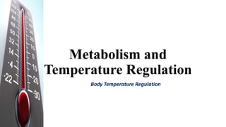 Metabolism and
Temperature Regulation
Body Temperature Regulation
 