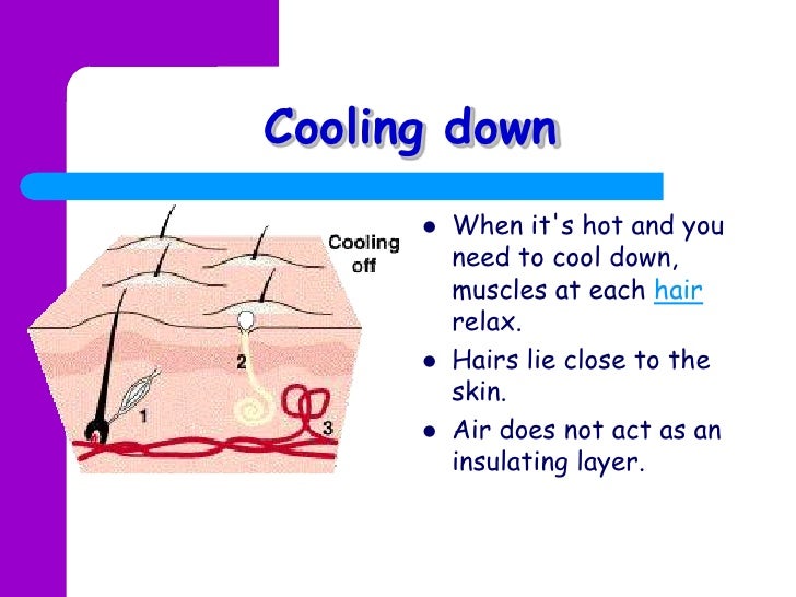 Temperature regulation