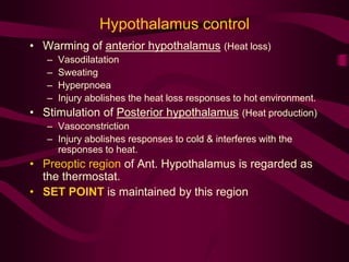 Hypothalamus control 
• Warming of anterior hypothalamus (Heat loss) 
– Vasodilatation 
– Sweating 
– Hyperpnoea 
– Injury abolishes the heat loss responses to hot environment. 
• Stimulation of Posterior hypothalamus (Heat production) 
– Vasoconstriction 
– Injury abolishes responses to cold & interferes with the 
responses to heat. 
• Preoptic region of Ant. Hypothalamus is regarded as 
the thermostat. 
• SET POINT is maintained by this region 
 
