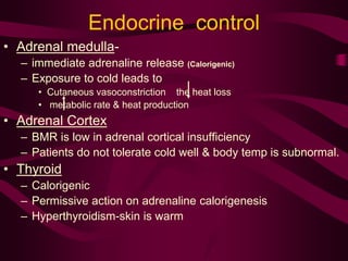 Endocrine control 
• Adrenal medulla- 
– immediate adrenaline release (Calorigenic) 
– Exposure to cold leads to 
• Cutaneous vasoconstriction the heat loss 
• metabolic rate & heat production 
• Adrenal Cortex 
– BMR is low in adrenal cortical insufficiency 
– Patients do not tolerate cold well & body temp is subnormal. 
• Thyroid 
– Calorigenic 
– Permissive action on adrenaline calorigenesis 
– Hyperthyroidism-skin is warm 
 