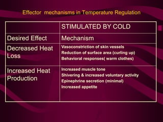 Effector mechanisms in Temperature Regulation 
STIMULATED BY COLD 
Desired Effect Mechanism 
Decreased Heat 
Loss 
Vasoconstriction of skin vessels 
Reduction of surface area (curling up) 
Behavioral responses( warm clothes) 
Increased Heat 
Production 
Increased muscle tone 
Shivering & increased voluntary activity 
Epinephrine secretion (minimal) 
Increased appetite 
 