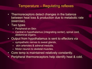 Temperature – Regulating reflexes 
• Thermoreceptors detect changes in the balance 
between heat loss & production due to metabolic rate 
(exercise). 
• Two types 
– Peripheral on Skin 
– Central in hypothalamus (integrating center), spinal cord, 
abdominal organs. 
• Output from hypothalamus is sent to effectors via 
– sympathetic nerves to sweat glands, 
– skin arterioles & adrenal medulla. 
– Motor neuron to skeletal muscles. 
• Core temp is maintained relatively constantly. 
• Peripheral thermoreceptors help identify heat & cold. 
 