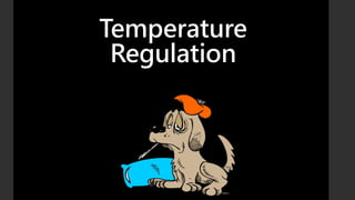 Temperature
Regulation
 