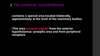 2. The posterior hypothalamus
contains a special area located bilaterally,
approximately at the level of the mammary bodies.
This area receives signals from the anterior
hypothalamus -preoptic area and from peripheral
receptors
 